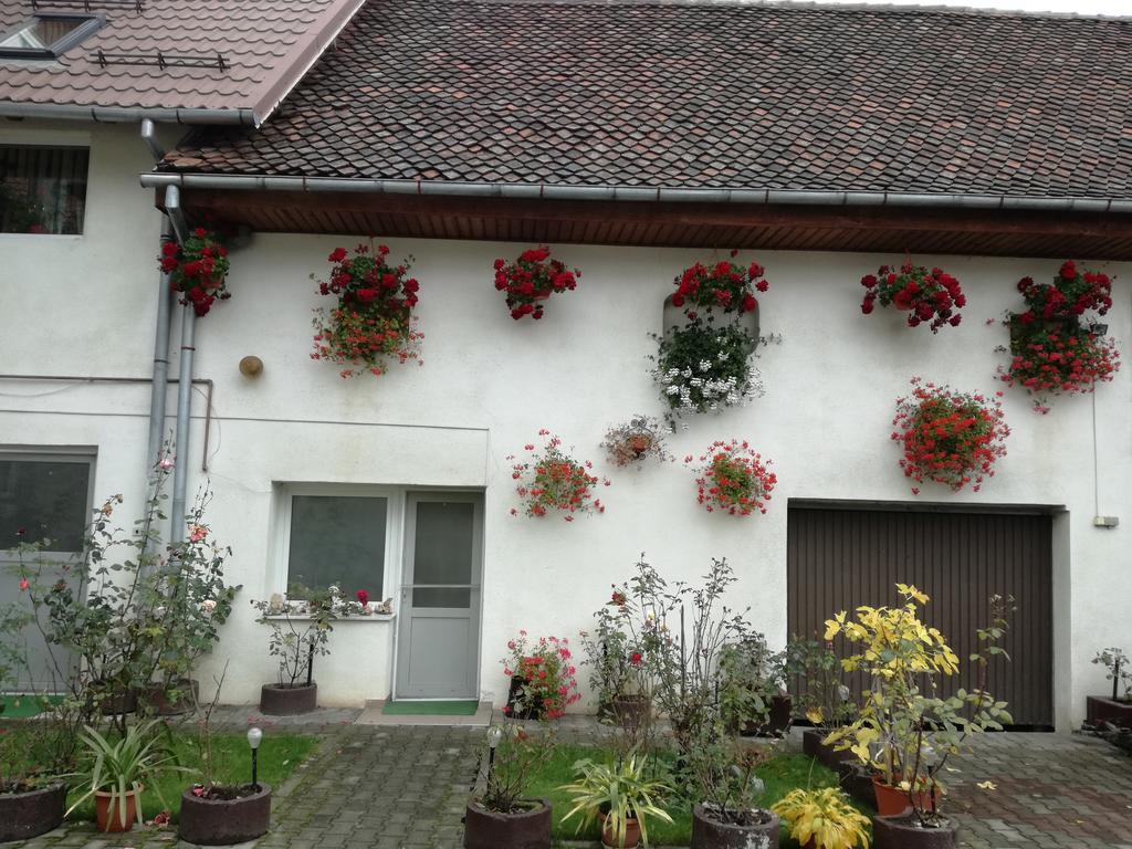 Vila Nely Rîşnov Dış mekan fotoğraf