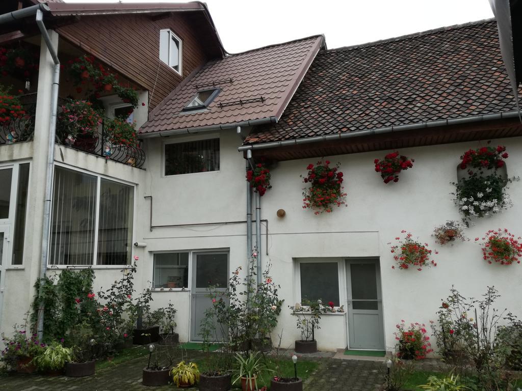 Vila Nely Rîşnov Dış mekan fotoğraf