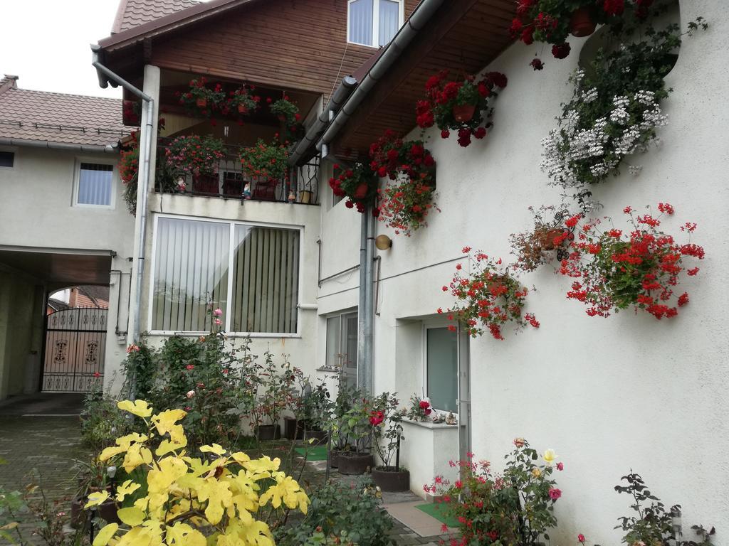 Vila Nely Rîşnov Dış mekan fotoğraf