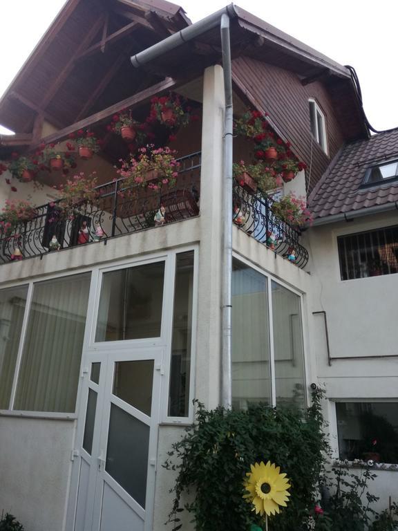 Vila Nely Rîşnov Dış mekan fotoğraf