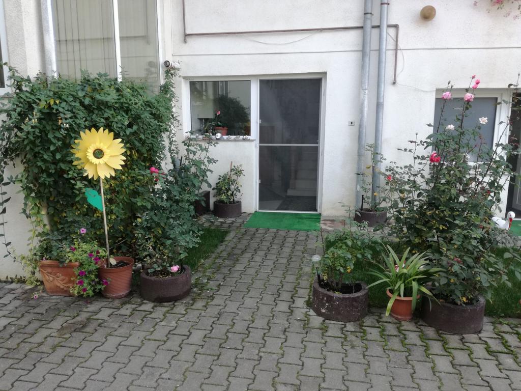 Vila Nely Rîşnov Dış mekan fotoğraf